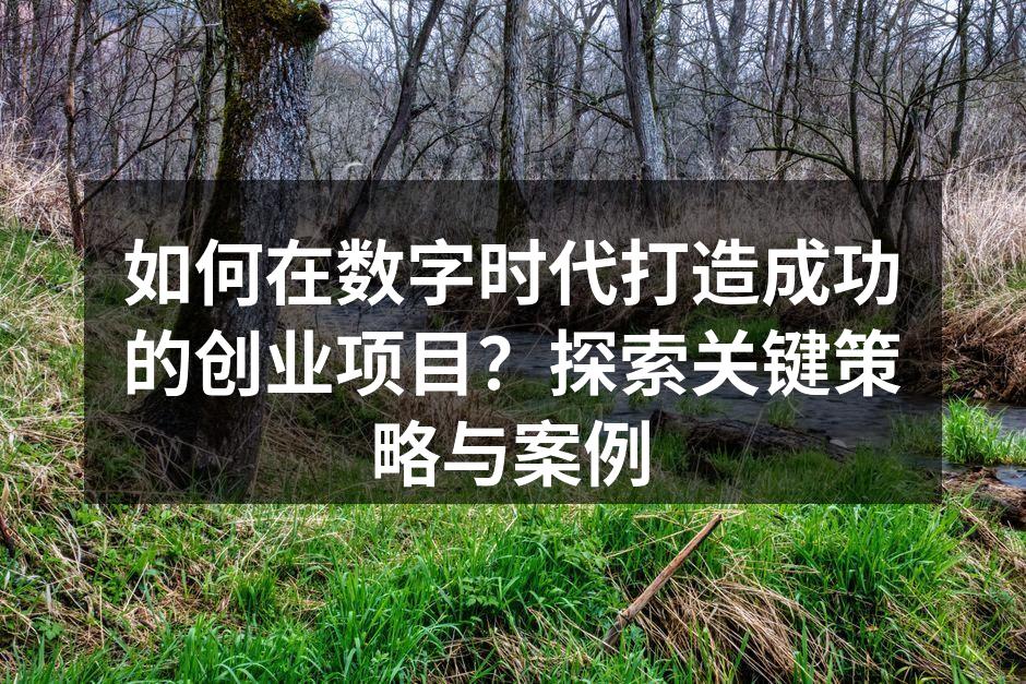 如何在数字时代打造成功的创业项目？探索关键策略与案例