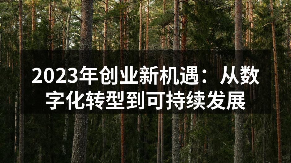 2023年创业新机遇：从数字化转型到可持续发展